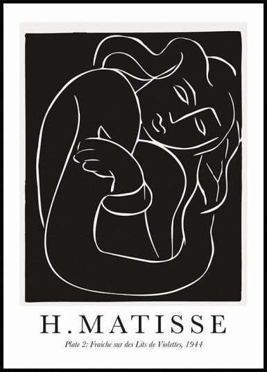 H. Matisse Pasiphae Plate 2 Plakat Plakat / 21x30cm