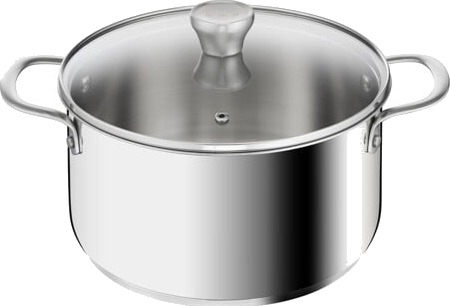 Tefal Recycle Stewpot 24 Cm W. Lid Stainless Steel Gryte