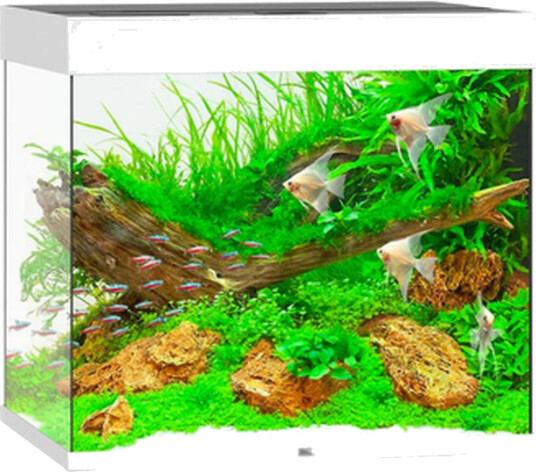 Lido Led-Akvarium Hvit 120 L