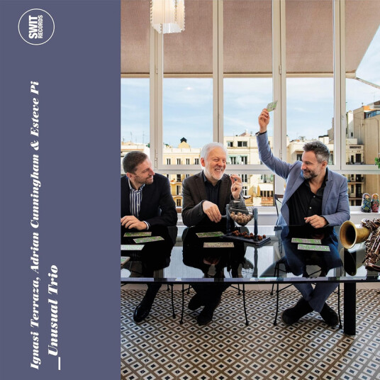 Terraza & Cunningham & Pi Unusual Trio CD