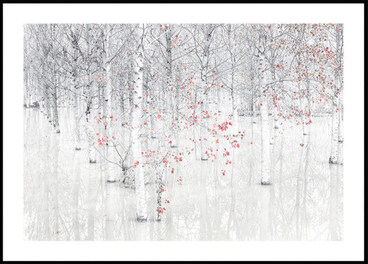 Red & white Plakat Plakat / 100x150cm