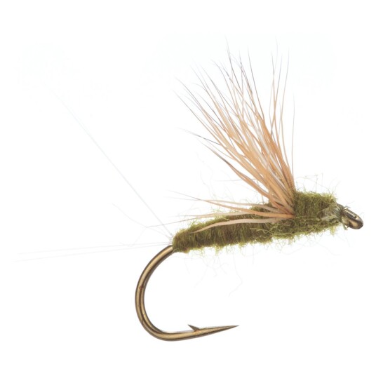 Arcticflies Tørrflue Comparadun Olive