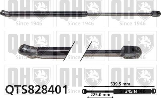 QUINTON HAZELL QTS828401 Baklukedemper