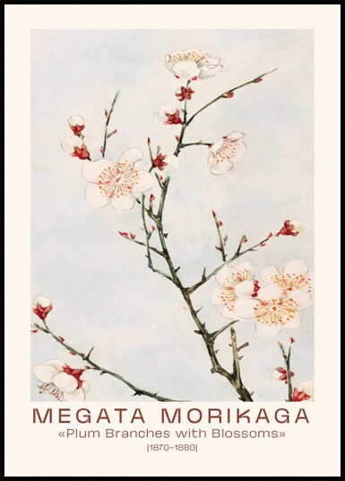 Megata Morikaga Plum Branches with Blossoms Plakat Plakat / 50x70cm