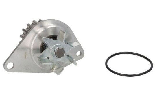 THERMOTEC D1P043TT Vannpumpe