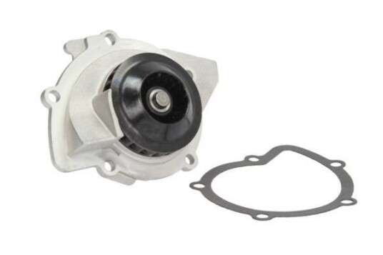 THERMOTEC D1P048TT Vannpumpe