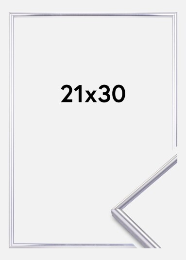 Focus Can-Can Aluminium Vit 21X29,7 (A4) Plexi