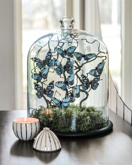 Bella Bell glasskuppel, svart Bella Bell glasskuppel, svart