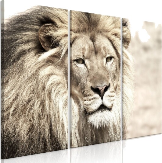 Bilde The King Of Beasts 3 Parts Beige 120x80 Artgeist sp. z o. o.