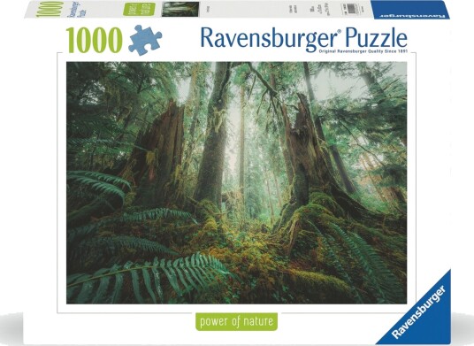 Puslespill 1000 Skog Ravensburger