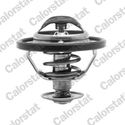 Termostat CALORSTAT by Vernet TH6311.88J