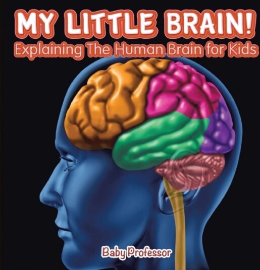 My Little Brain!   Explaining The Human Brain for Kids