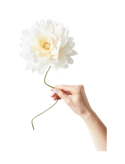 Studio About Paper Flower Cream L:46.0CM