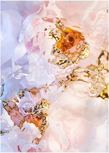 Paper Collective Flora Aquatica 03 poster 70x100 cm