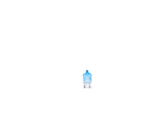 BOSCH 1 987 301 098 Lyspære