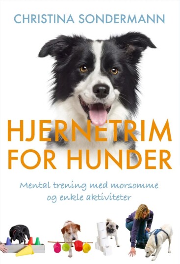 Hjernetrim For Hunder Av Christina Sondermann