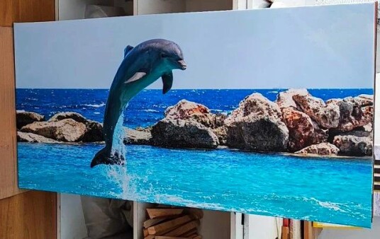 Delfin 60X120 CM Delfin 60X120 CM