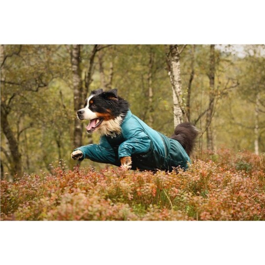 Non-stop Dogwear Fjord Vannavvisende Hundedress Teal 36 cm
