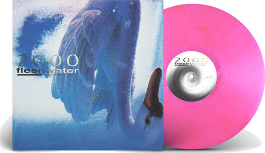 2000: In Search Of The Endless Sky