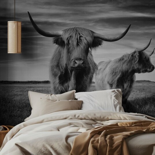 Tapet   Highland Cattle