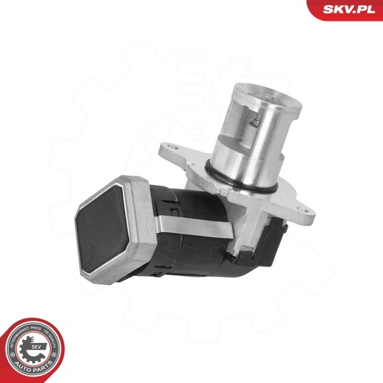 EGR Ventil ESEN SKV 14SKV306 EGR Ventil ESEN SKV 14SKV306