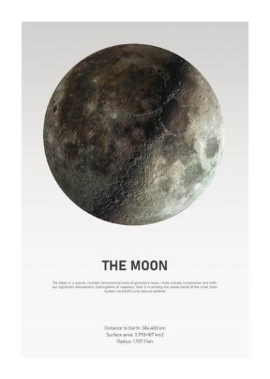 Malerifabrikken Poster The Moon Light 1642198-01-48