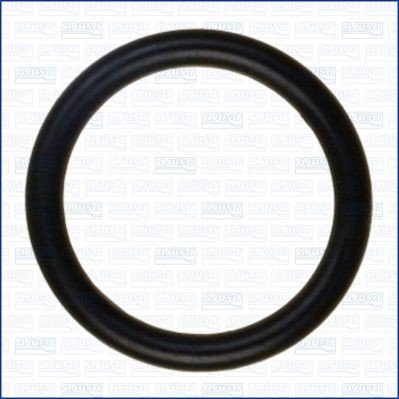 Tetning innsugningsmanifold AJUSA 16063100