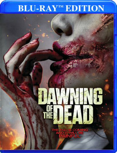 Dawning Of The Dead Bluray
