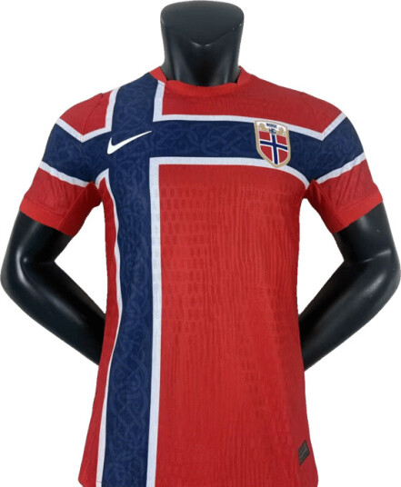 26 27 Norges landslag hjemme spillerversjon fotballdrakt kun t skjorte L