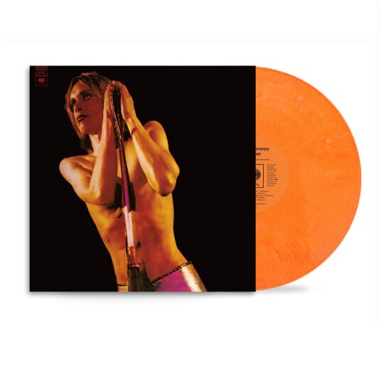 Iggy And The Stooges The Stooges Raw Power LP/Vinyl Iggy And The Stooges The Stooges Raw Power LP/Vinyl