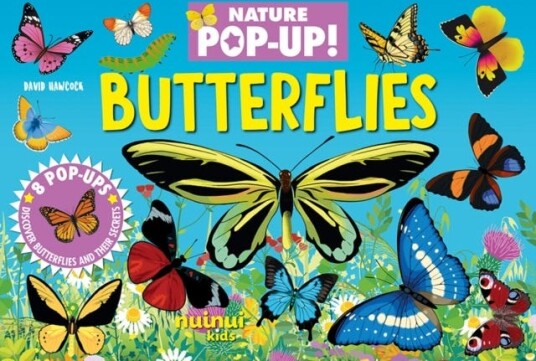 Butterflies Butterflies