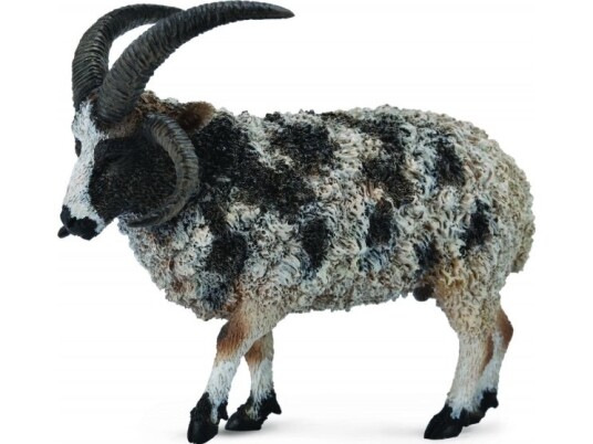 Figurka Collecta Owca Wielkoroga 004 88728 Figurka Collecta Owca Wielkoroga 004 88728