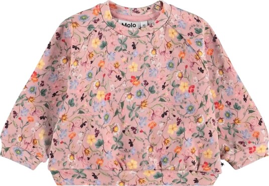 Molo Disc Pink 98