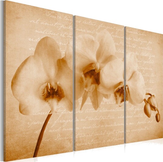 Bilde Orchid 90x60 Artgeist sp. z o. o.