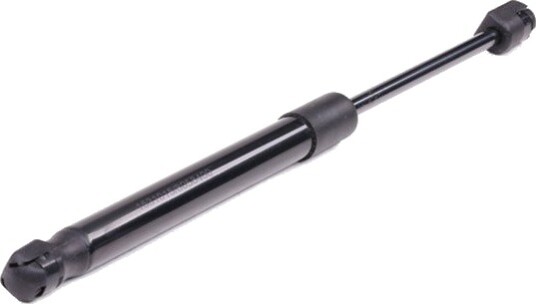RIDEX 219G0037 Baklukedemper