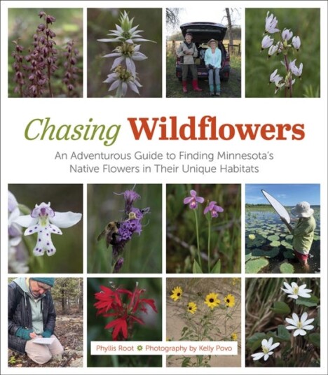 Chasing Wildflowers An Adventurous Guide to Finding Minnesota's Native Flowers in Their Unique Habitats Chasing Wildflowers An Adventurous Guide to Finding Minnesota's Native Flowers in Their Unique Habitats