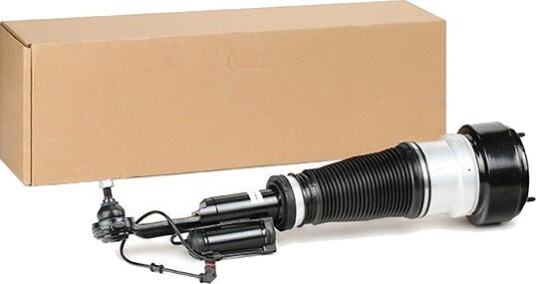 RIDEX 4118A0048 Luftdempere