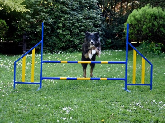 Agility Profi Hopp I Metall Pro-Serie Agility Profi Hopp I Metall Pro-Serie