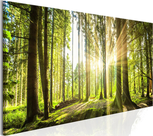 Bilde Daylight 120x40 Artgeist sp. z o. o.