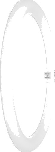 Led Ringrør 18,3W 840 G10q Led Ringrør 18,3W 840 G10q