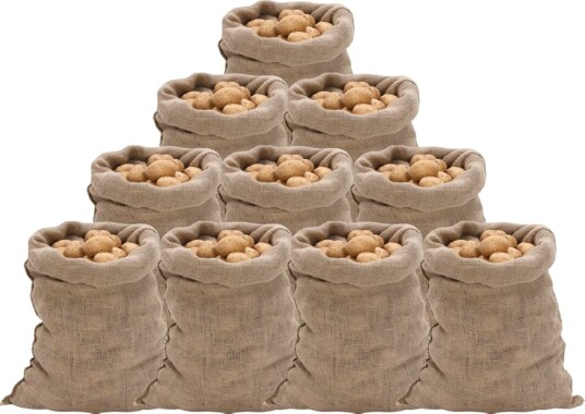  Jutesekker 10 stk 60x105 cm 100% jute 220 gsm 155778
