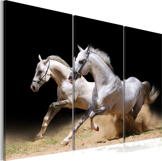 Bilde HorsesPower And Velocity 120x80 Artgeist sp. z o. o.