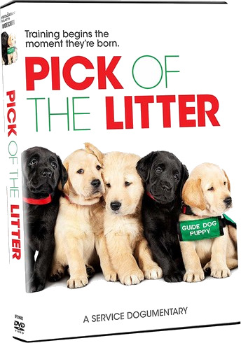 Pick Of The Litter DVD Pick Of The Litter DVD