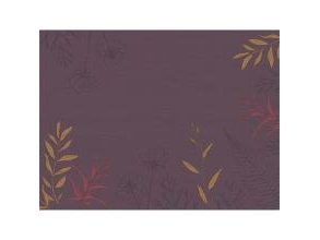 Multi Dækkeserviet Papir 30X40 Cm Fsc Soft Nature,250 Stk/Pk