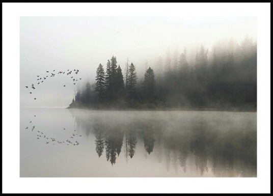 Birds In Nature Plakat Plakat / 40x50cm