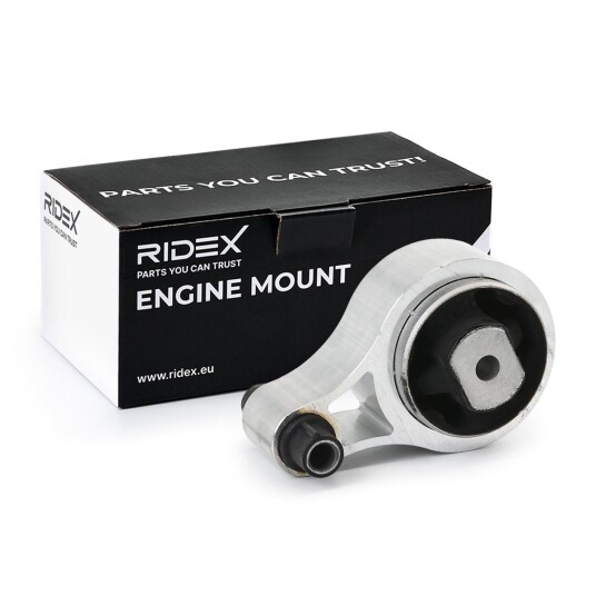 Motorfeste RIDEX 247E0941