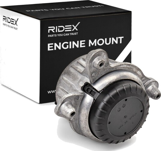 RIDEX 247E1431 Motorfeste