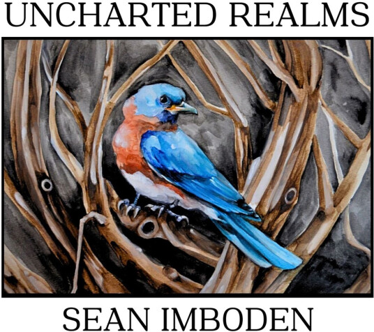 Sean Imboden Uncharted Realms CD