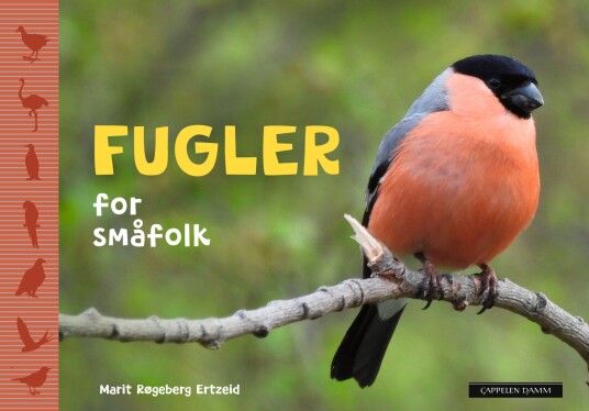 Fugler for småfolk Fugler for småfolk