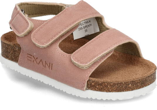 Exani | Spectra K | 25